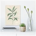 Picture of Swaying Foliage II _GroupedProduct_Rectangle_Portrait_Canvas_