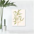 Picture of Botanical Strand I _GroupedProduct_Rectangle_Portrait_Canvas_