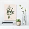 Picture of Swaying Foliage IV _GroupedProduct_Rectangle_Portrait_Canvas_