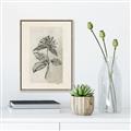 Picture of Vintage Flower II _GroupedProduct_Rectangle_Portrait_Canvas_Framed_