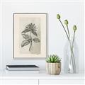 Picture of Vintage Flower II _GroupedProduct_Rectangle_Portrait_Canvas_Framed_