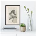 Picture of Vintage Flower II _GroupedProduct_Rectangle_Portrait_Canvas_Framed_