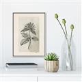 Picture of Vintage Flower II _GroupedProduct_Rectangle_Portrait_Canvas_Framed_