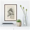 Picture of Vintage Flower II _GroupedProduct_Rectangle_Portrait_Canvas_Framed_