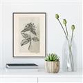 Picture of Vintage Flower II _GroupedProduct_Rectangle_Portrait_Canvas_Framed_