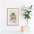 Picture of Vintage Flower II _GroupedProduct_Rectangle_Portrait_Canvas_Framed_