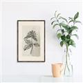 Picture of Vintage Flower II _GroupedProduct_Rectangle_Portrait_Canvas_Framed_