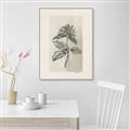 Picture of Vintage Flower II _GroupedProduct_Rectangle_Portrait_Canvas_Framed_