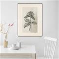 Picture of Vintage Flower II _GroupedProduct_Rectangle_Portrait_Canvas_Framed_