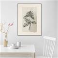 Picture of Vintage Flower II _GroupedProduct_Rectangle_Portrait_Canvas_Framed_