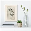 Picture of Vintage Flower IV _GroupedProduct_Rectangle_Portrait_Canvas_Framed_
