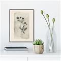 Picture of Vintage Flower IV _GroupedProduct_Rectangle_Portrait_Canvas_Framed_