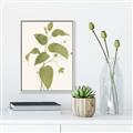 Picture of Leaf Mirage I _GroupedProduct_Rectangle_Portrait_Canvas_Framed_