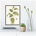 Picture of Leaf Mirage I _GroupedProduct_Rectangle_Portrait_Canvas_Framed_