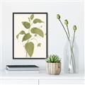 Picture of Leaf Mirage I _GroupedProduct_Rectangle_Portrait_Canvas_Framed_