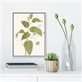 Picture of Leaf Mirage I _GroupedProduct_Rectangle_Portrait_Canvas_Framed_