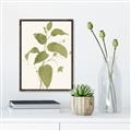Picture of Leaf Mirage I _GroupedProduct_Rectangle_Portrait_Canvas_Framed_