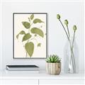 Picture of Leaf Mirage I _GroupedProduct_Rectangle_Portrait_Canvas_Framed_
