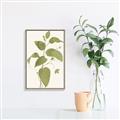 Picture of Leaf Mirage I _GroupedProduct_Rectangle_Portrait_Canvas_Framed_