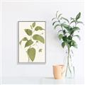 Picture of Leaf Mirage I _GroupedProduct_Rectangle_Portrait_Canvas_Framed_