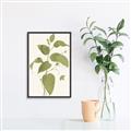 Picture of Leaf Mirage I _GroupedProduct_Rectangle_Portrait_Canvas_Framed_