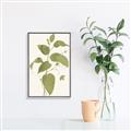 Picture of Leaf Mirage I _GroupedProduct_Rectangle_Portrait_Canvas_Framed_