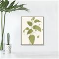 Picture of Leaf Mirage I _GroupedProduct_Rectangle_Portrait_Canvas_Framed_