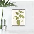 Picture of Leaf Mirage I _GroupedProduct_Rectangle_Portrait_Canvas_Framed_
