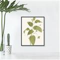 Picture of Leaf Mirage I _GroupedProduct_Rectangle_Portrait_Canvas_Framed_