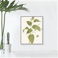 Picture of Leaf Mirage I _GroupedProduct_Rectangle_Portrait_Canvas_Framed_