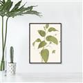 Picture of Leaf Mirage I _GroupedProduct_Rectangle_Portrait_Canvas_Framed_