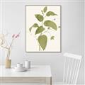 Picture of Leaf Mirage I _GroupedProduct_Rectangle_Portrait_Canvas_Framed_