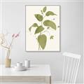 Picture of Leaf Mirage I _GroupedProduct_Rectangle_Portrait_Canvas_Framed_