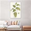 Picture of Leaf Mirage I _GroupedProduct_Rectangle_Portrait_Canvas_Framed_