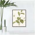 Picture of Leaf Mirage II _GroupedProduct_Rectangle_Portrait_Canvas_Framed_