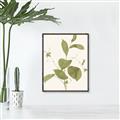 Picture of Leaf Mirage II _GroupedProduct_Rectangle_Portrait_Canvas_Framed_