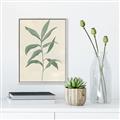 Picture of Swaying Foliage II _GroupedProduct_Rectangle_Portrait_Canvas_Framed_