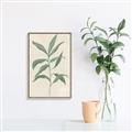 Picture of Swaying Foliage II _GroupedProduct_Rectangle_Portrait_Canvas_Framed_
