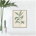 Picture of Swaying Foliage II _GroupedProduct_Rectangle_Portrait_Canvas_Framed_