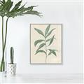Picture of Swaying Foliage II _GroupedProduct_Rectangle_Portrait_Canvas_Framed_