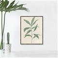 Picture of Swaying Foliage II _GroupedProduct_Rectangle_Portrait_Canvas_Framed_