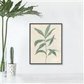 Picture of Swaying Foliage II _GroupedProduct_Rectangle_Portrait_Canvas_Framed_