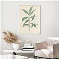 Picture of Swaying Foliage II _GroupedProduct_Rectangle_Portrait_Canvas_Framed_