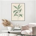 Picture of Swaying Foliage II _GroupedProduct_Rectangle_Portrait_Canvas_Framed_