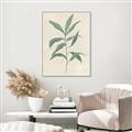 Picture of Swaying Foliage II _GroupedProduct_Rectangle_Portrait_Canvas_Framed_