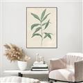 Picture of Swaying Foliage II _GroupedProduct_Rectangle_Portrait_Canvas_Framed_