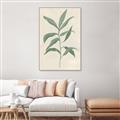 Picture of Swaying Foliage II _GroupedProduct_Rectangle_Portrait_Canvas_Framed_