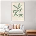 Picture of Swaying Foliage II _GroupedProduct_Rectangle_Portrait_Canvas_Framed_