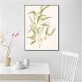 Picture of Botanical Strand I _GroupedProduct_Rectangle_Portrait_Canvas_Framed_