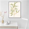 Picture of Botanical Strand I _GroupedProduct_Rectangle_Portrait_Canvas_Framed_